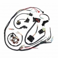 GY6 125cc 150cc Complete Vehicle Wiring Harness Line Ignition System Harness Wiring CDI Assembly Kit Four wheel ATV Approving|Mo