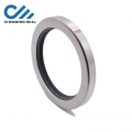 85*110*10 PTFE Lip Oil Seal With Stainless Steel Housing Single lip and Dual Lip Screw Air Compressor Spare Parts|shaft seal|oi