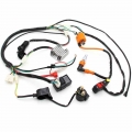 Motorcycle Electric Stator CDI Coil Wiring Harness Wire Loom For ATV QUAD 150 200 250 300cc|Motorbike Ingition| - Ebikpro