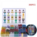 300 Pcs Truck Automotive Medium and Small Auto Car Standard Blade Fuses Assortment Kit Fuse Puller Set with Box|Fus
