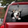 New Car Stickers Dog Lover Car Styling Accessories Auto Decal Pet Dog Decal Window Sticker Decoration Car Decor Наклейки На Авто